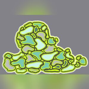 Duck tako camo multi color Summer tees